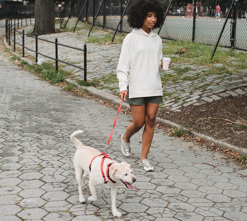 girl walking dog
